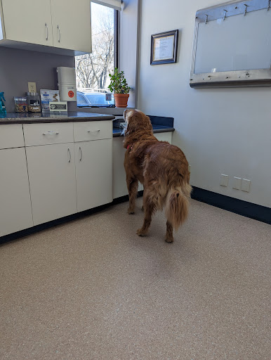 Transcona Veterinary Hospital