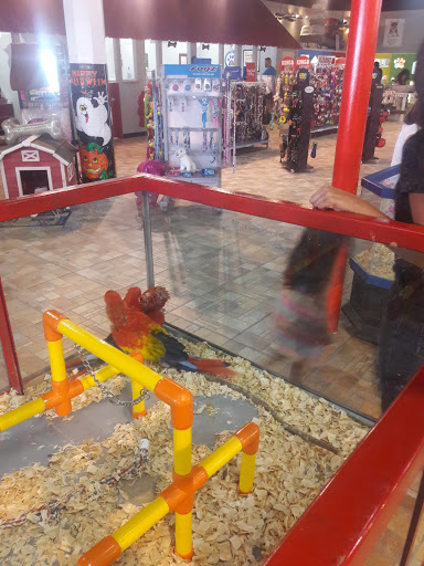 Pet Store «Exotic Tropical Petworld LLC.», reviews and photos, 1716 W Hackberry Ave, McAllen, TX 78501, USA