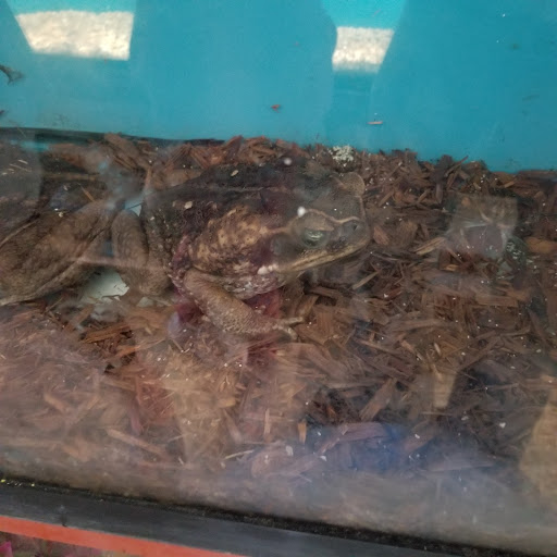 Aquarium «Beltway Aquarium», reviews and photos, 3306 Crain Hwy, Waldorf, MD 20603, USA