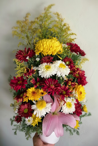 Florería Vianney – Mérida