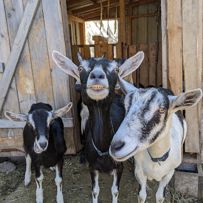 Twisted Roots Farm