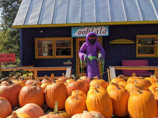 Gift Shop «Beech Spring Gift Shop», reviews and photos, 11600 Lee Hwy, Sperryville, VA 22740, USA