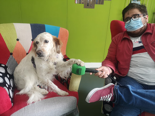 La Clínica del Estadio - Centro Veterinario en Cádiz