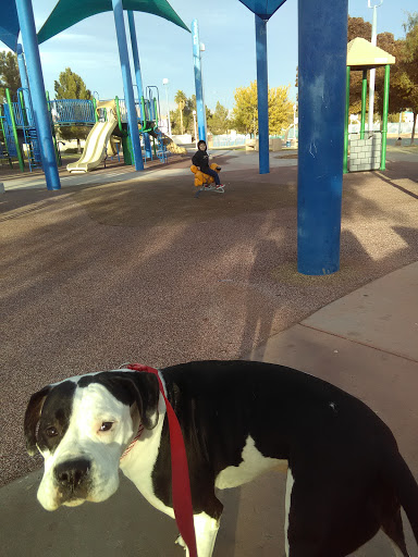 Community Center «Durango Hills Community Center», reviews and photos, 3521 N Durango Dr, Las Vegas, NV 89129, USA