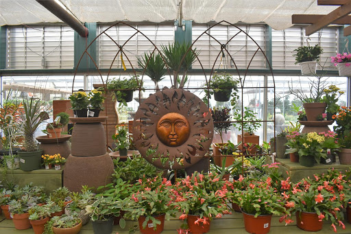 Garden Center «Pike Nurseries», reviews and photos, 615 W Crossville Rd, Roswell, GA 30075, USA