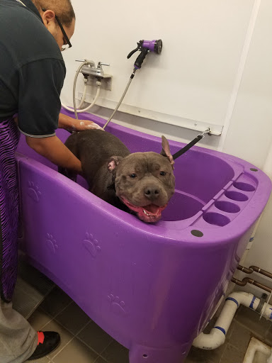 Pet Supply Store «Bow Wow and Meow Pet Supplies», reviews and photos, 1648 S 4th St, Allentown, PA 18103, USA