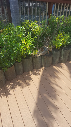 Aquarium «Miami Seaquarium», reviews and photos, 4400 Rickenbacker Causeway, Key Biscayne, FL 33149, USA