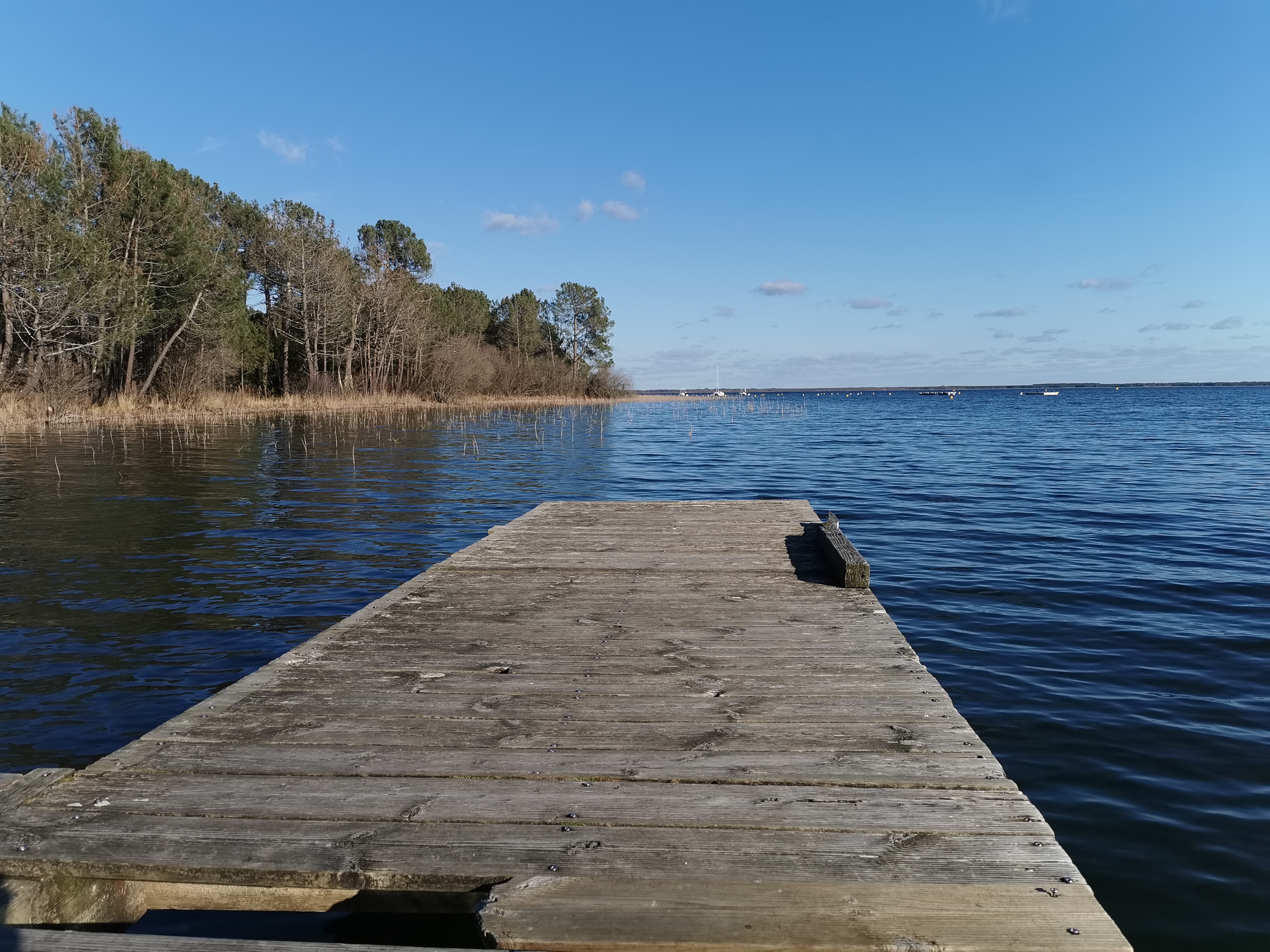 Photo n° 2 de l'avis de Sandrine.e fait le 05/02/2023 à 19:47