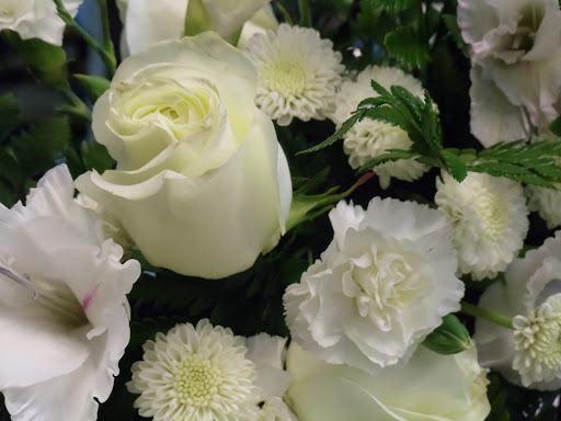 Florist «Westgate Flower & Plant Shop», reviews and photos, 841 S Oak Park Ave, Oak Park, IL 60304, USA