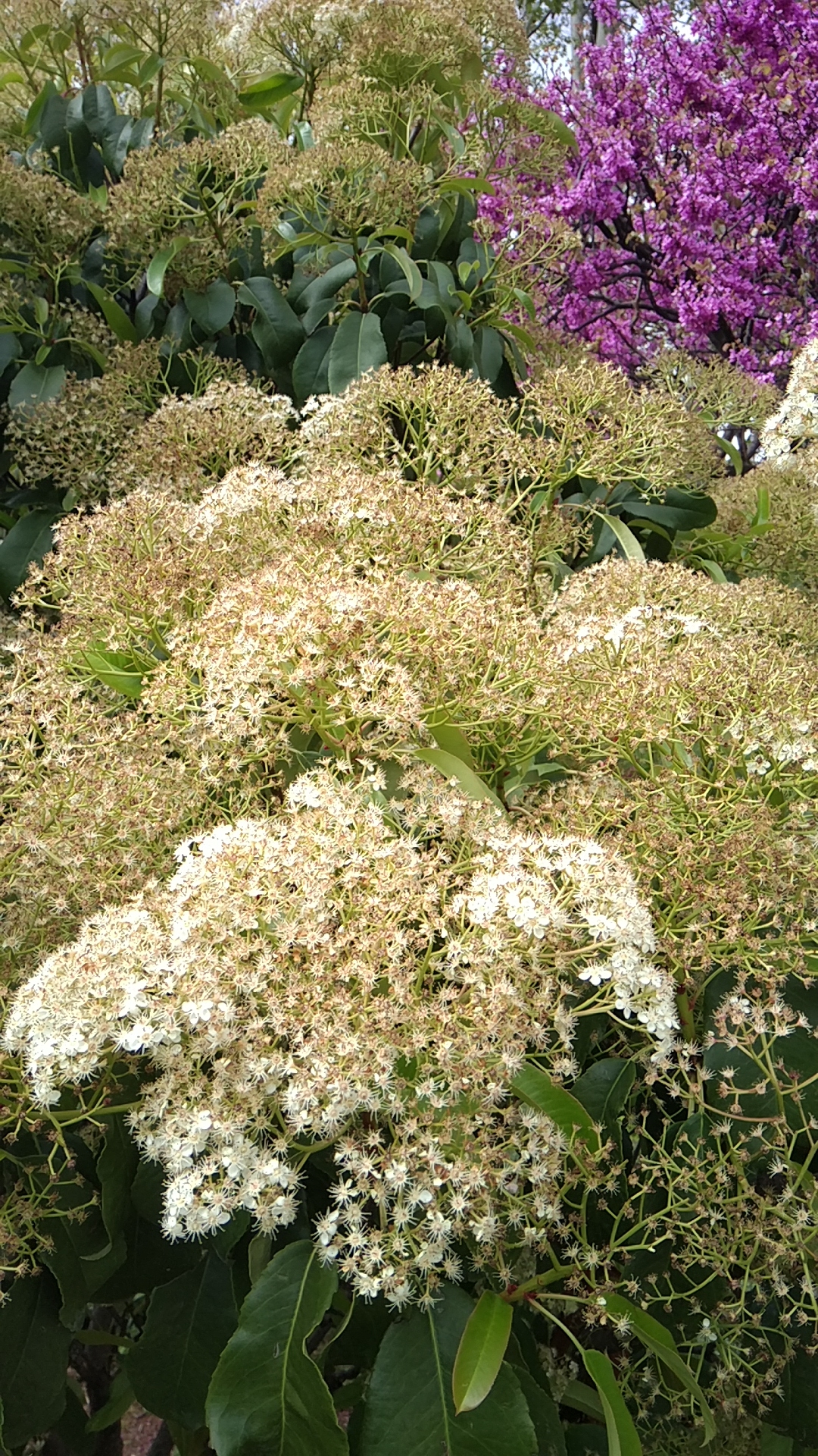 Photo n° 1 de l'avis de Tina.o fait le 21/04/2019 à 12:52