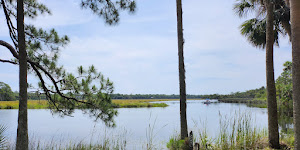 Bulow Creek State Park