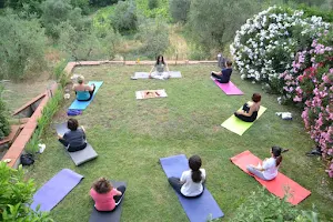 Yoga della tradizione. Ines Rosano Federazione italiana yoga image