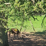 Photo n°8 de l'avis de Helga.i fait le 19/09/2023 à 10:50 sur le  Colmberg Castle à Colmberg