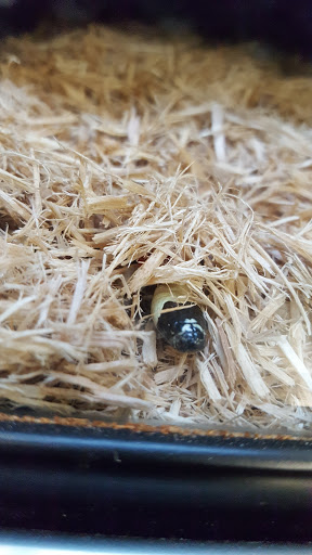 Pet Supply Store «Petco Animal Supplies», reviews and photos, 280 Kensington Blvd, Slidell, LA 70458, USA