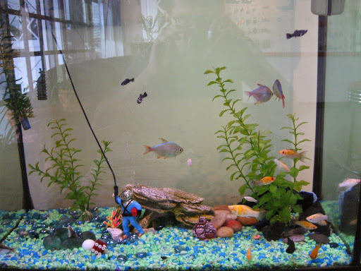 Locksmith «DUP-A-KEY», reviews and photos, 1478 Garnet Ave, San Diego, CA 92109, USA