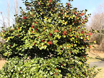 Garden Center at The Home Depot