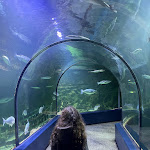 Photo n° 2 de l'avis de Christopher.l fait le 20/02/2024 à 18:29 pour Océarium du Croisic à Le Croisic