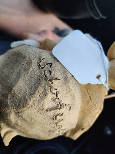 Thrift Store «Yavapai Humane Society Thrift Store», reviews and photos