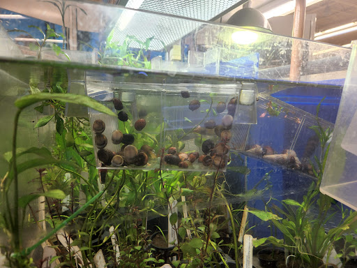 Pet Supply Store «Petco Animal Supplies», reviews and photos, 1015 Fording Island Rd, Bluffton, SC 29910, USA