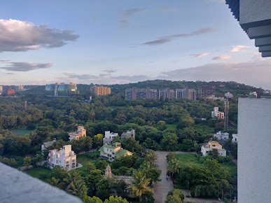 Google Maps image 23