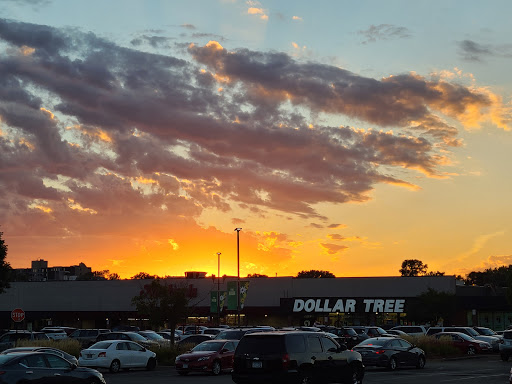 Dollar Store «Dollar Tree», reviews and photos, 64 W 66th St, Richfield, MN 55423, USA