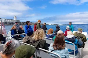 Kerry Aqua Terra Boat & Adventure Tours image