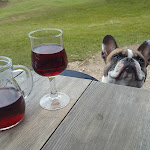 Photo n°3 de l'avis de M..c fait le 10/09/2017 à 20:04 sur le  Malga Pieralongia Alm à Santa Cristina Gherdëina