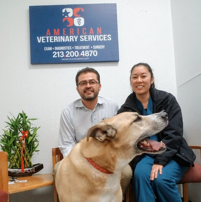 American Veterinary Services