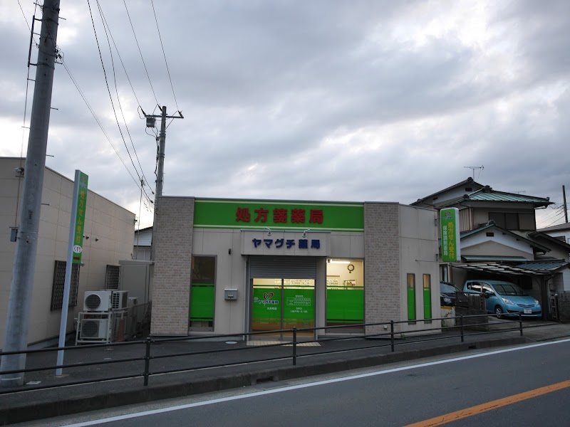 ヤマグチ薬局 大井町店