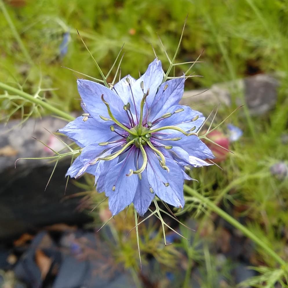 Photo n° 1 de l'avis de Sebastien.o fait le 25/06/2019 à 17:38
