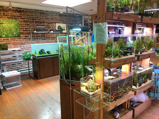 Tropical Fish Store «Aquarium Zen», reviews and photos, 920 NE 64th St, Seattle, WA 98115, USA