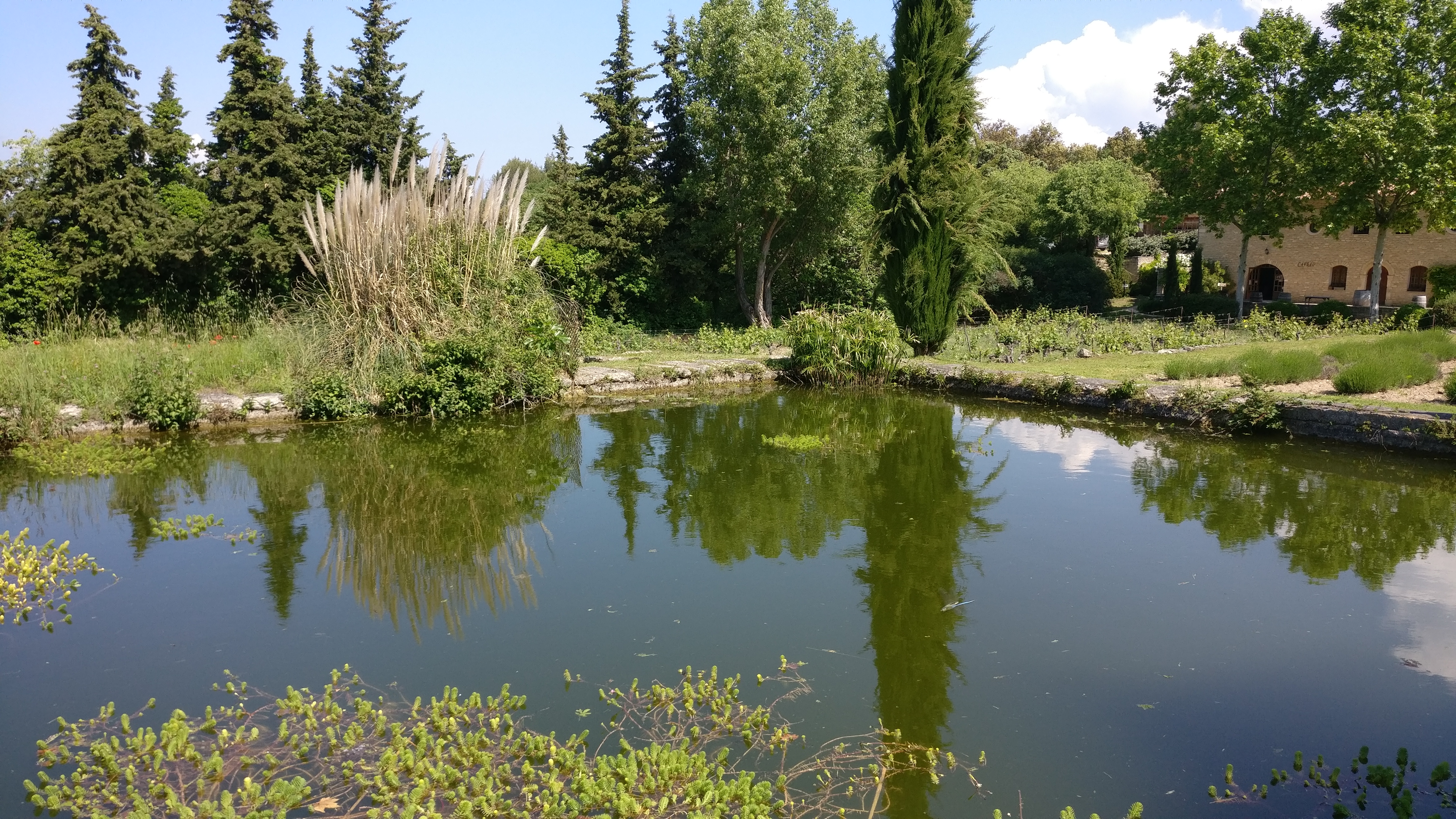 Photo n° 2 de l'avis de Lisandro.a fait le 13/10/2017 à 14:46