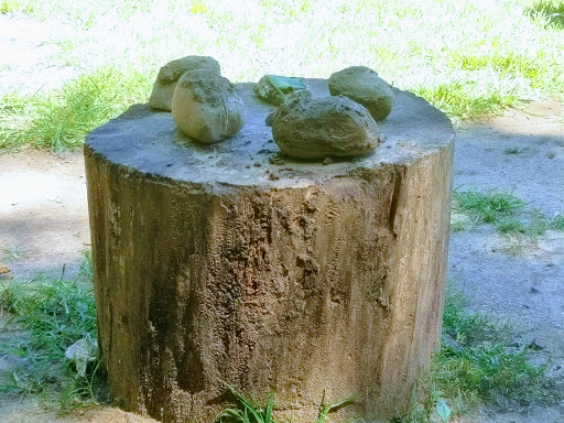 Park «Percy Warner Park», reviews and photos, 7311 Tennessee 100, Nashville, TN 37221, USA