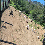 Photo n°3 de l'avis de Simone.i fait le 20/06/2022 à 09:18 sur le  Da Gambin à Podenzana