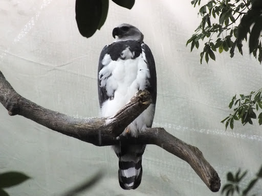 Aquarium «The Dallas World Aquarium», reviews and photos, 1801 N Griffin St, Dallas, TX 75202, USA