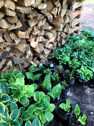 Garden Center «Stonewall Garden Center», reviews and photos, 4675 PA-447, Canadensis, PA 18325, USA