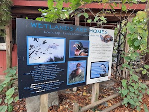 Connecticuts Beardsley Zoo - photo 23