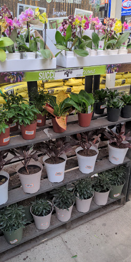 Garden Center at The Home Depot image 7