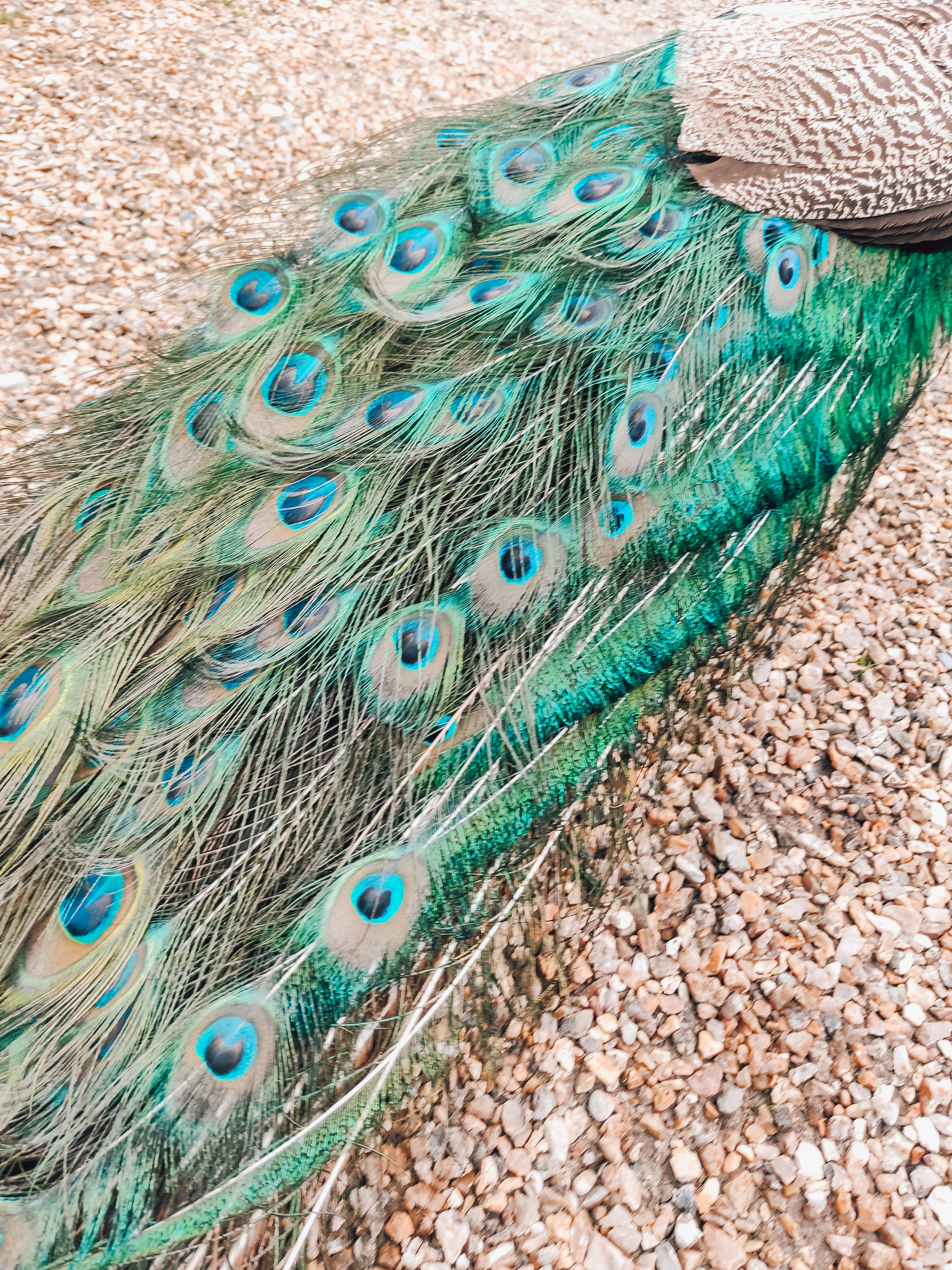 Photo n° 2 de l'avis de Chloé.b fait le 04/07/2021 à 12:42