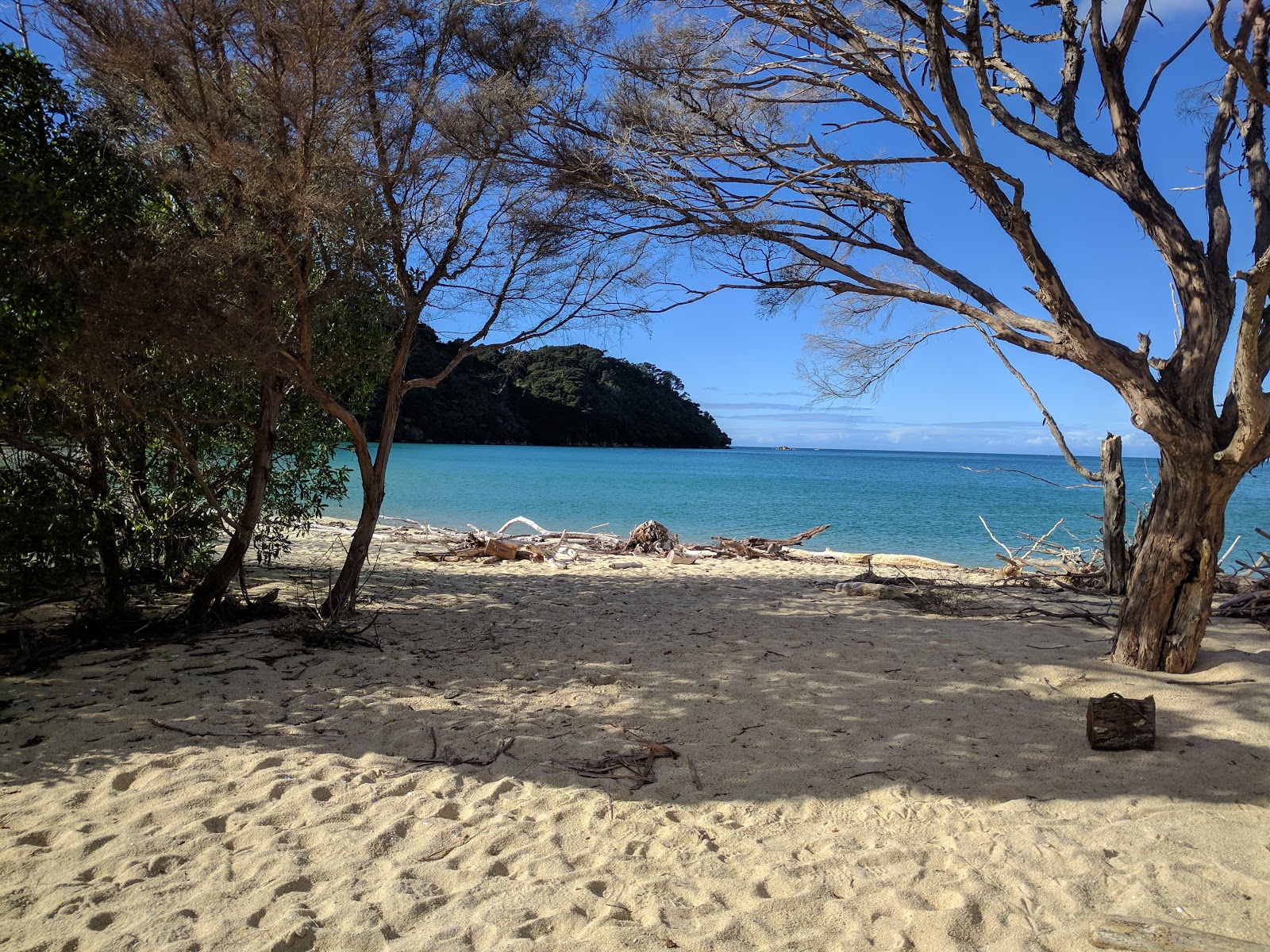 Photo de Bark Bay Beach zone des équipements
