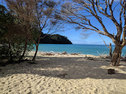 Photo de Bark Bay Beach zone des équipements