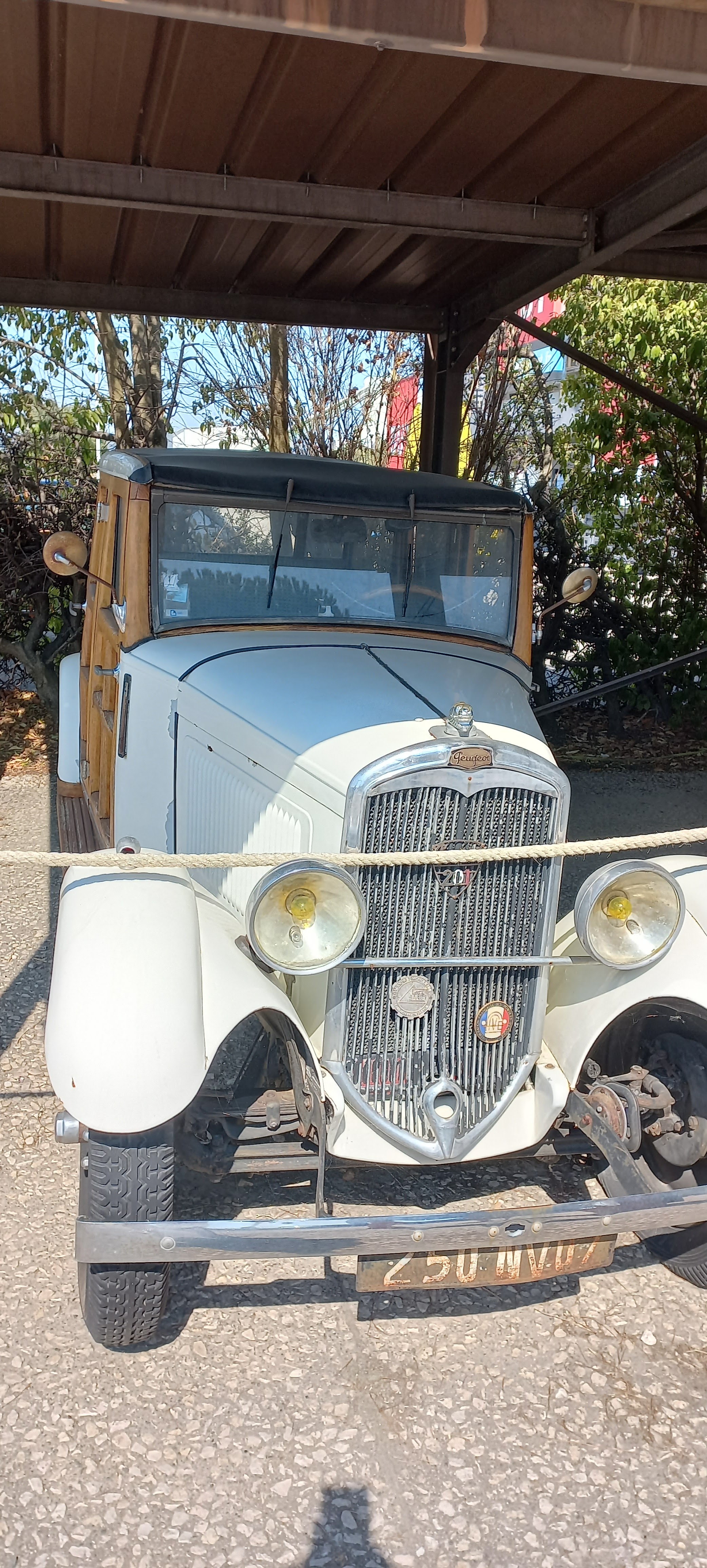 Photo n° 1 de l'avis de Christel. fait le 10/08/2022 à 17:52