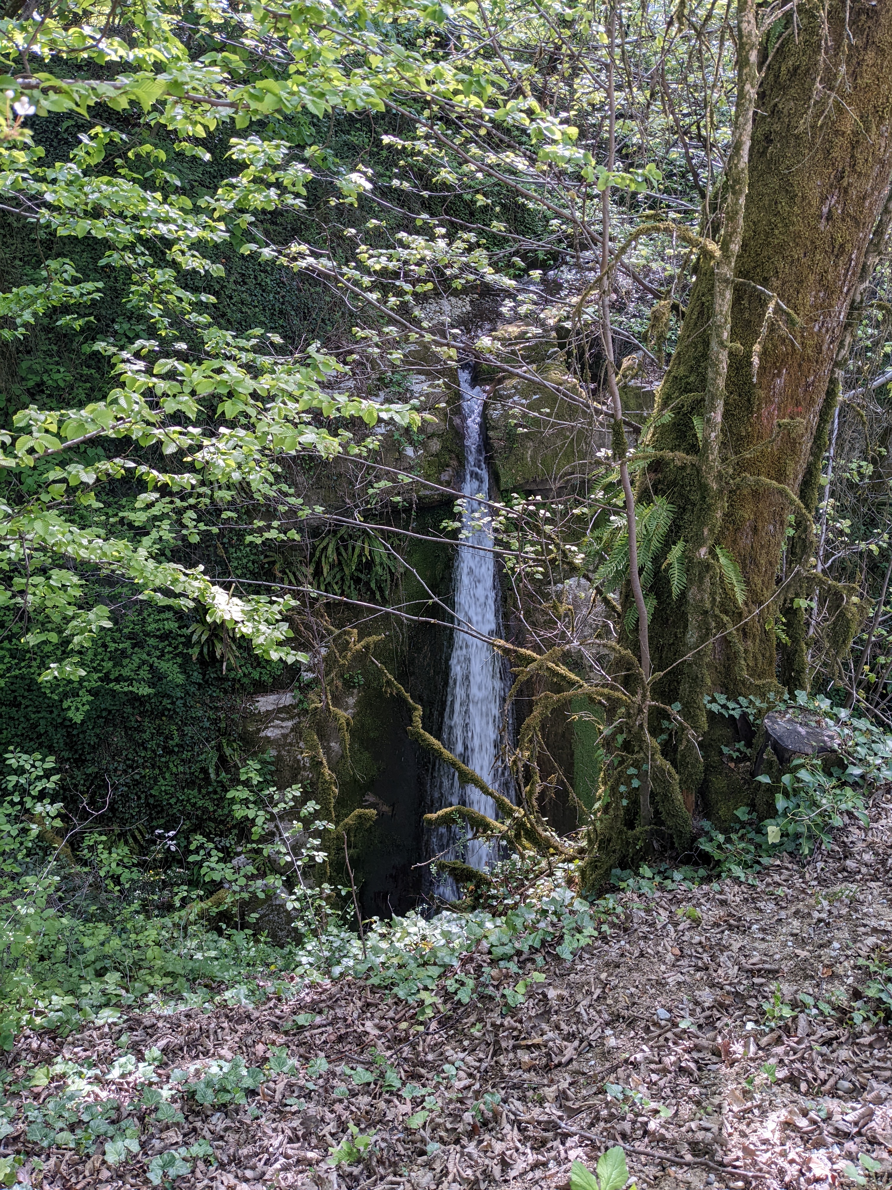 Photo n° 2 de l'avis de Louloute.M fait le 18/04/2022 à 09:48