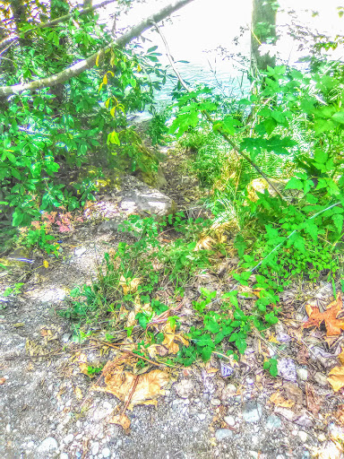 Golf Course «Riverside Disc Golf Course», reviews and photos, 7926 Riverside Rd E, Sumner, WA 98390, USA