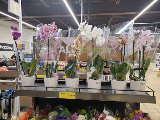 Supermarket «ALDI», reviews and photos, 2050 Mayfield Dr, Montgomery, IL 60538, USA