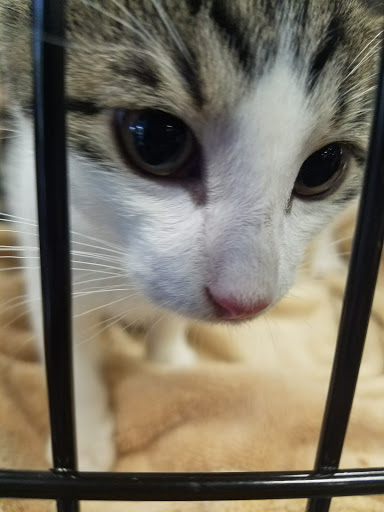 Pet Store «Pet Valu», reviews and photos, 725 River Rd, Edgewater, NJ 07020, USA