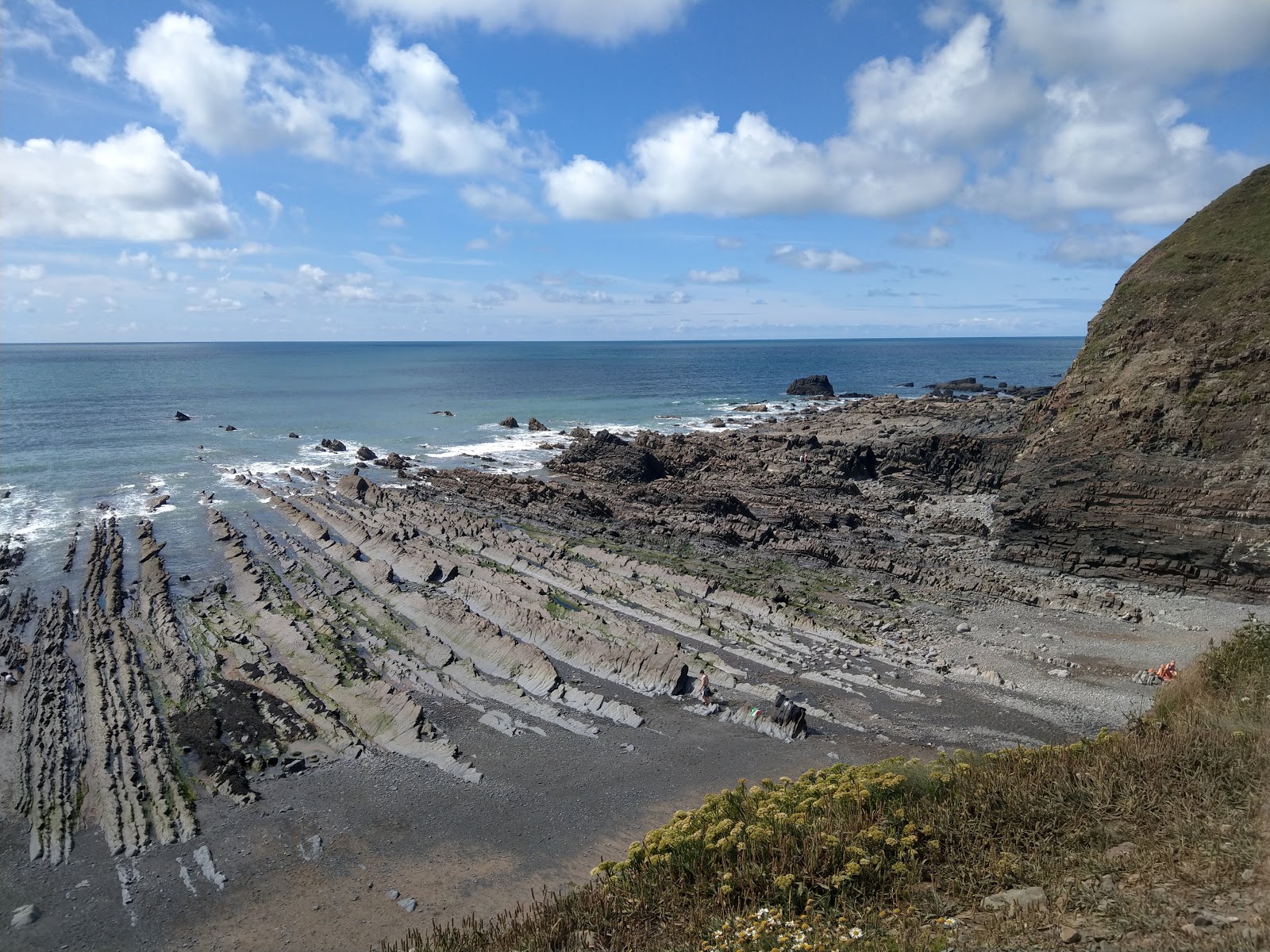 Foto di Welcombe Mouth beach con spiaggia spaziosa