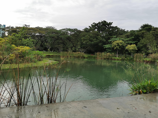 Opening hours for Fusion Spoon