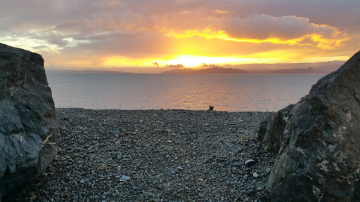 Clothing Store «The North Face Outlet», reviews and photos, 1238 Fifth Street, Berkeley, CA 94710, USA