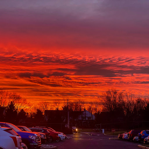 Pet Supply Store «Petco Animal Supplies Warehouse», reviews and photos, 257 Prospect Plains Rd, Cranbury, NJ 08512, USA